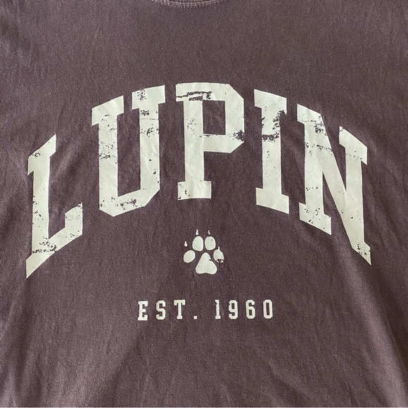 LUPIN HARRY POTTER OVERSIZED GRAPHIC TEE - Picture 2 of 5